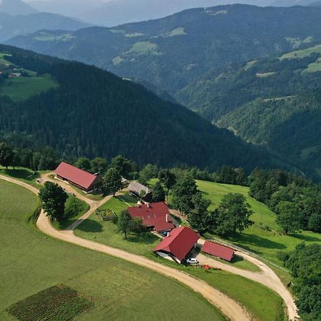 Farmstay&Glamping Visocnik Ljubno Luaran gambar
