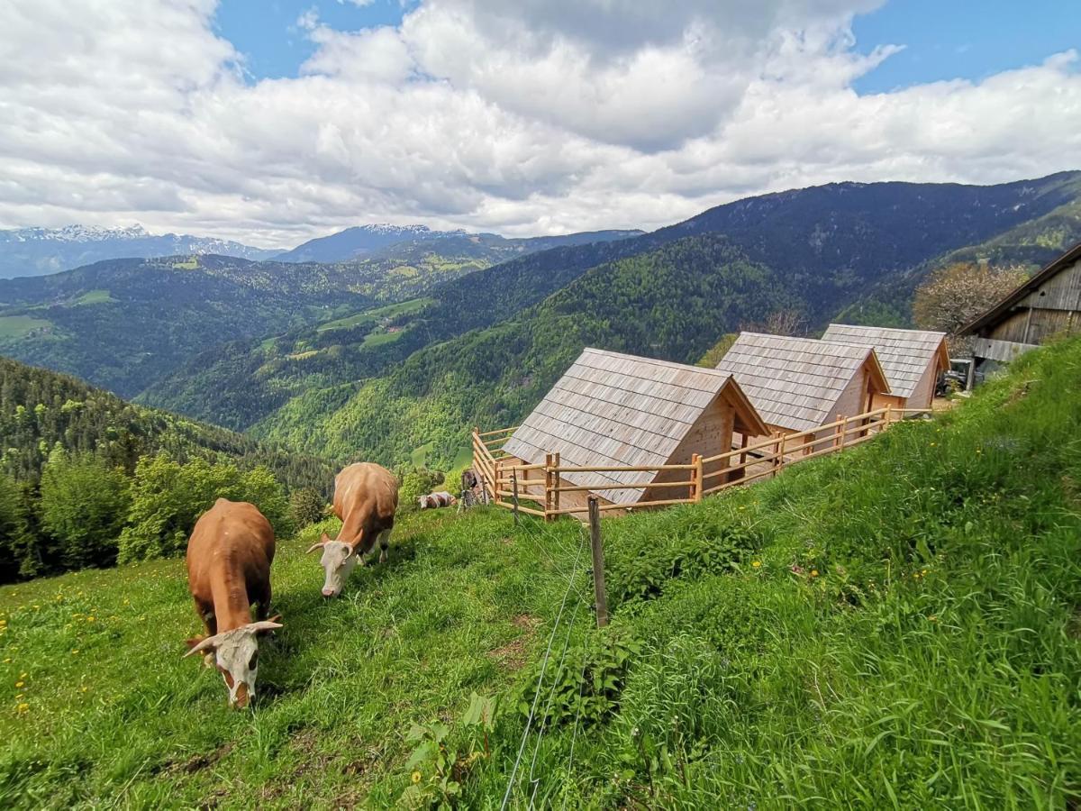 Farmstay&Glamping Visocnik Ljubno Luaran gambar