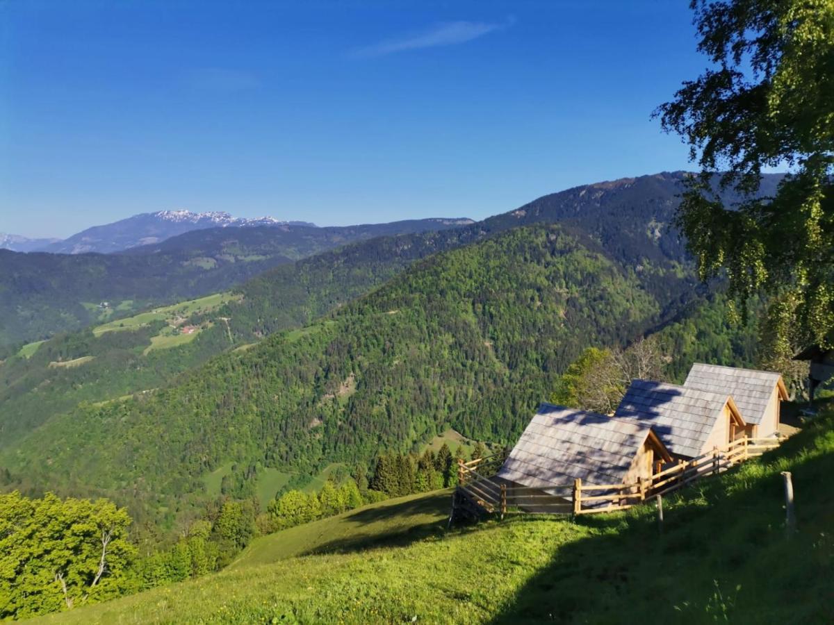 Farmstay&Glamping Visocnik Ljubno Luaran gambar