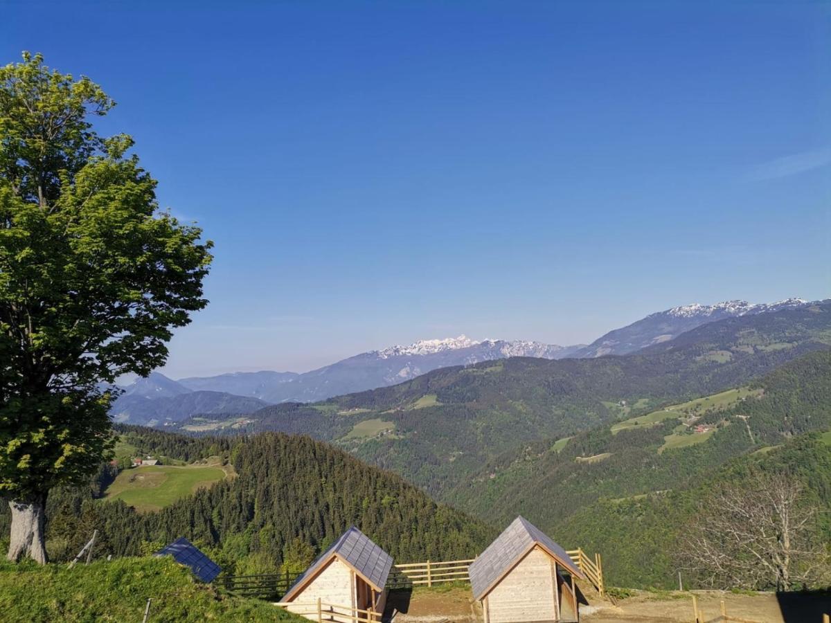 Farmstay&Glamping Visocnik Ljubno Luaran gambar