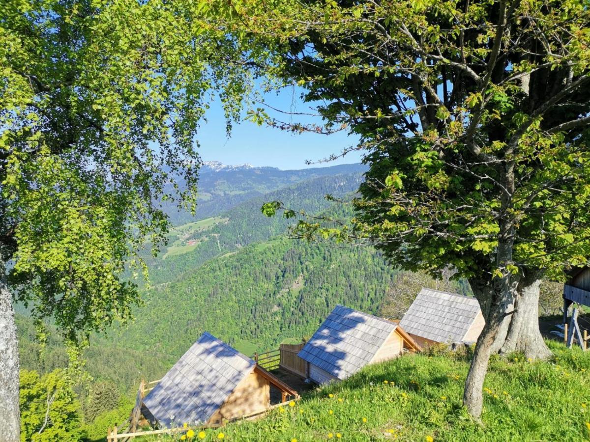 Farmstay&Glamping Visocnik Ljubno Luaran gambar
