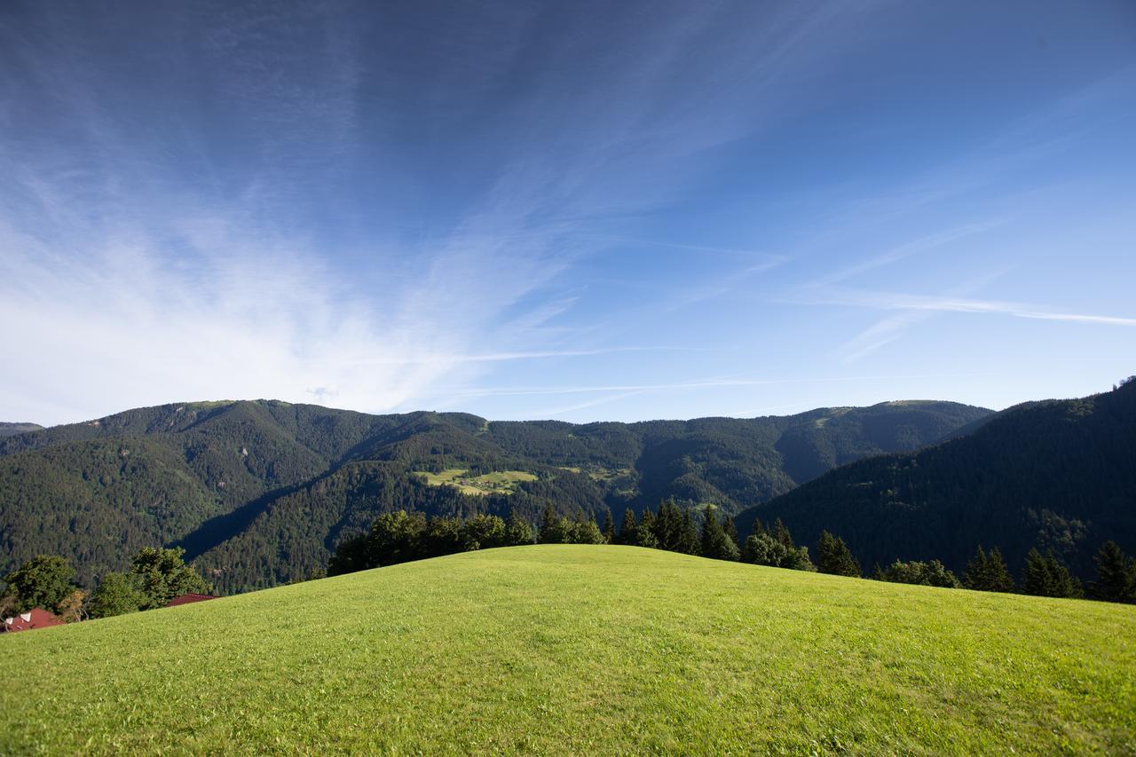 Farmstay&Glamping Visocnik Ljubno Luaran gambar