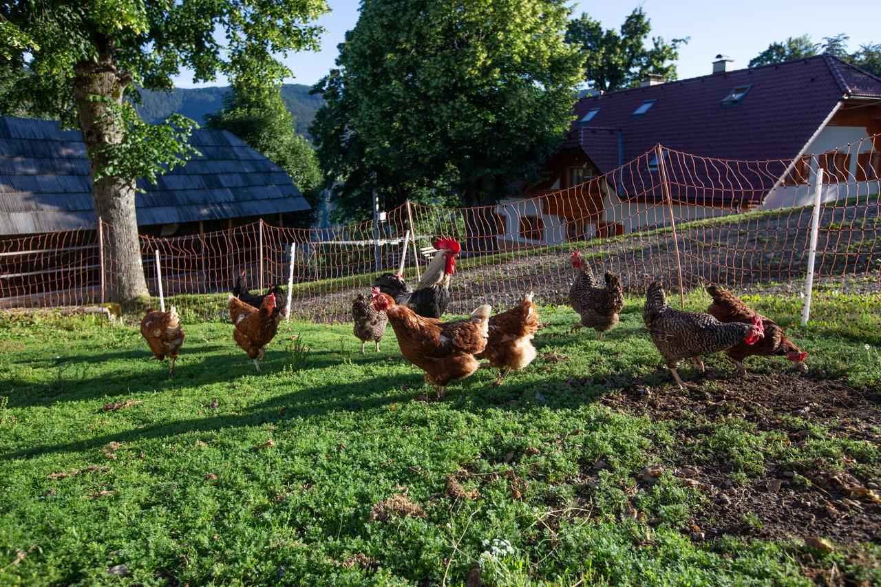 Farmstay&Glamping Visocnik Ljubno Luaran gambar