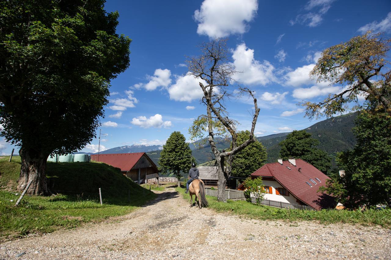 Farmstay&Glamping Visocnik Ljubno Luaran gambar