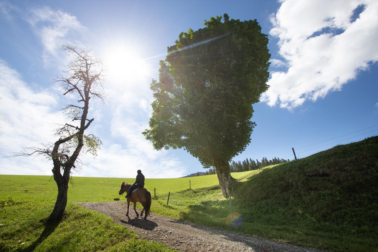 Farmstay&Glamping Visocnik Ljubno Luaran gambar