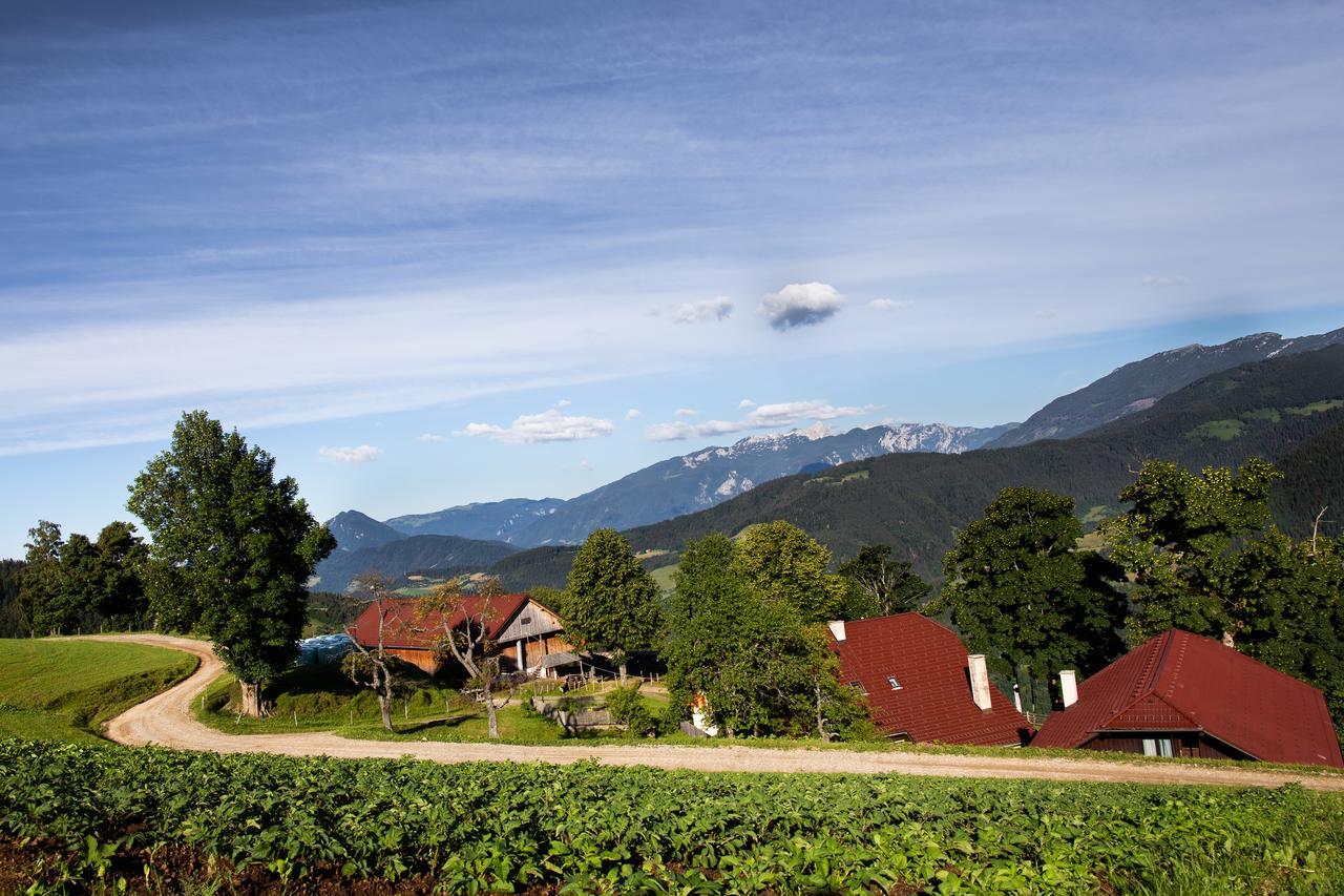 Farmstay&Glamping Visocnik Ljubno Luaran gambar
