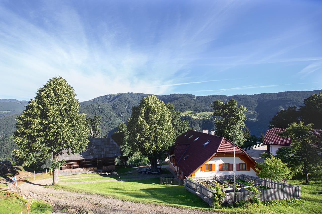 Farmstay&Glamping Visocnik Ljubno Luaran gambar