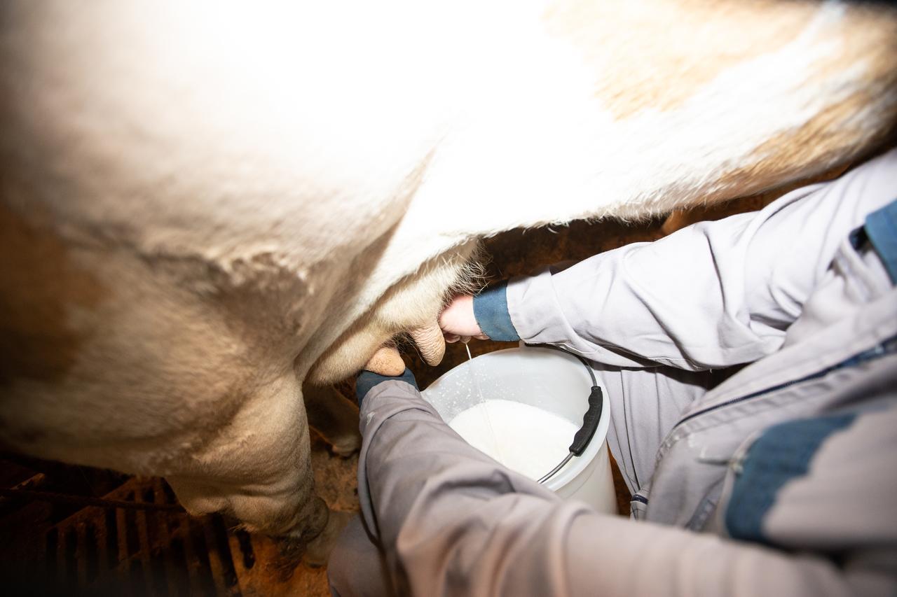 Farmstay&Glamping Visocnik Ljubno Luaran gambar