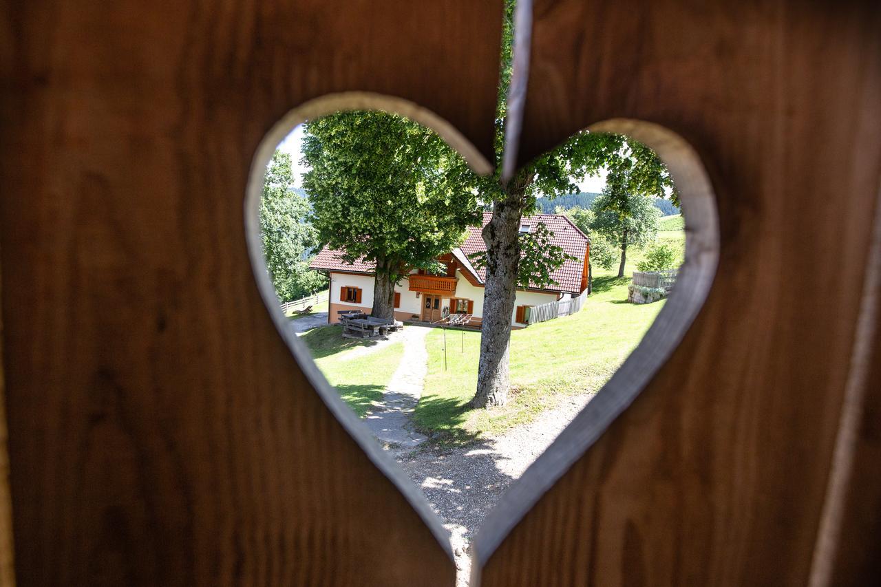 Farmstay&Glamping Visocnik Ljubno Luaran gambar