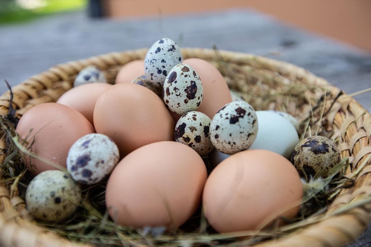 Farmstay&Glamping Visocnik Ljubno Luaran gambar