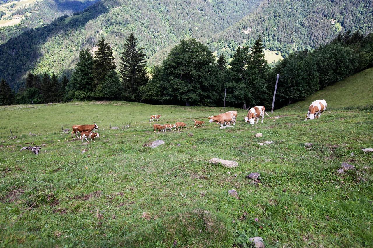 Farmstay&Glamping Visocnik Ljubno Luaran gambar