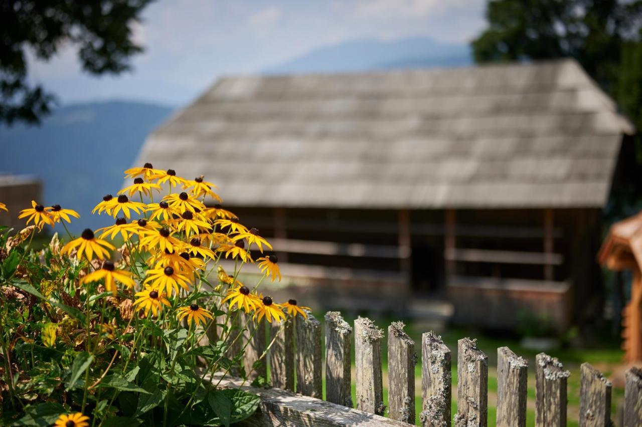 Farmstay&Glamping Visocnik Ljubno Luaran gambar