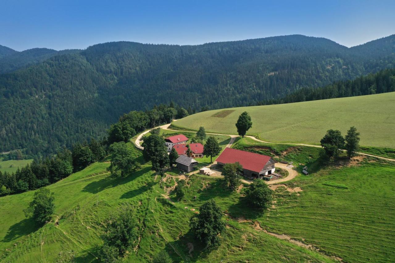 Farmstay&Glamping Visocnik Ljubno Luaran gambar