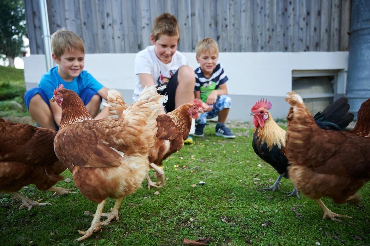 Farmstay&Glamping Visocnik Ljubno Luaran gambar