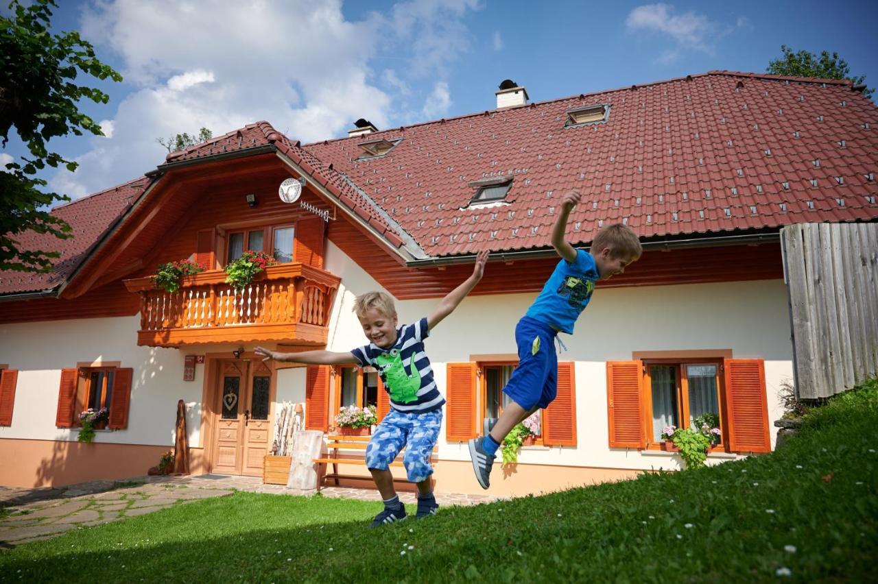 Farmstay&Glamping Visocnik Ljubno Luaran gambar
