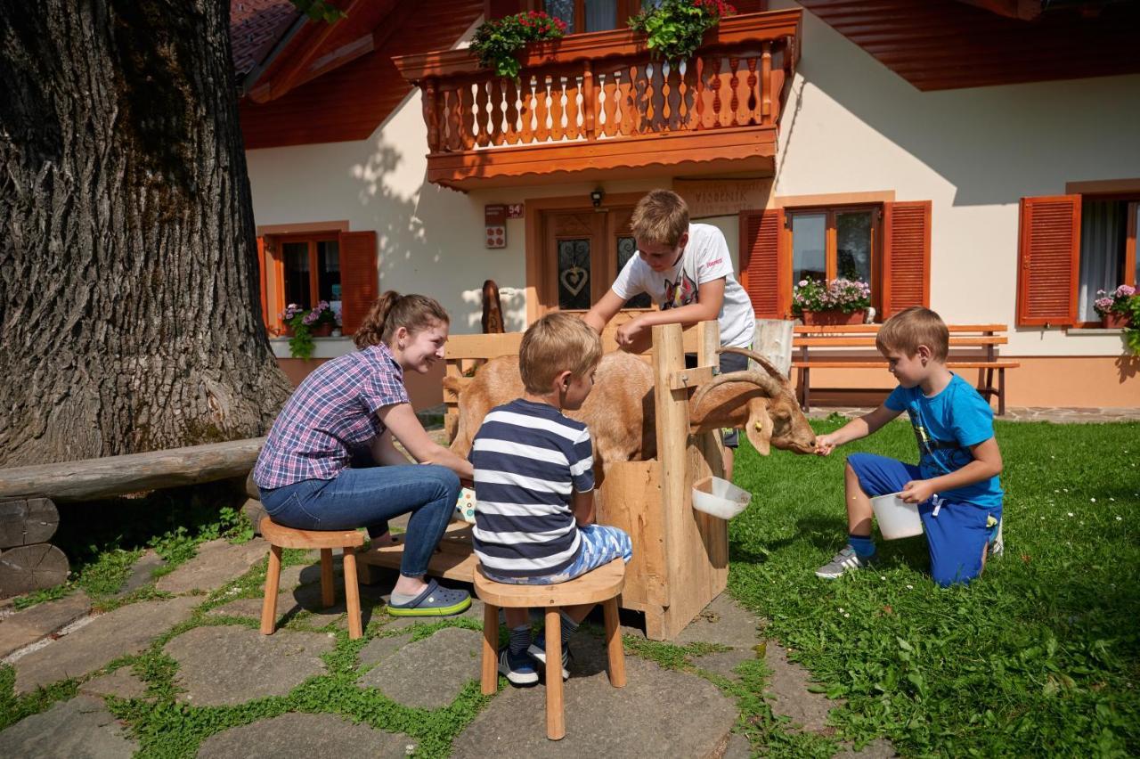 Farmstay&Glamping Visocnik Ljubno Luaran gambar