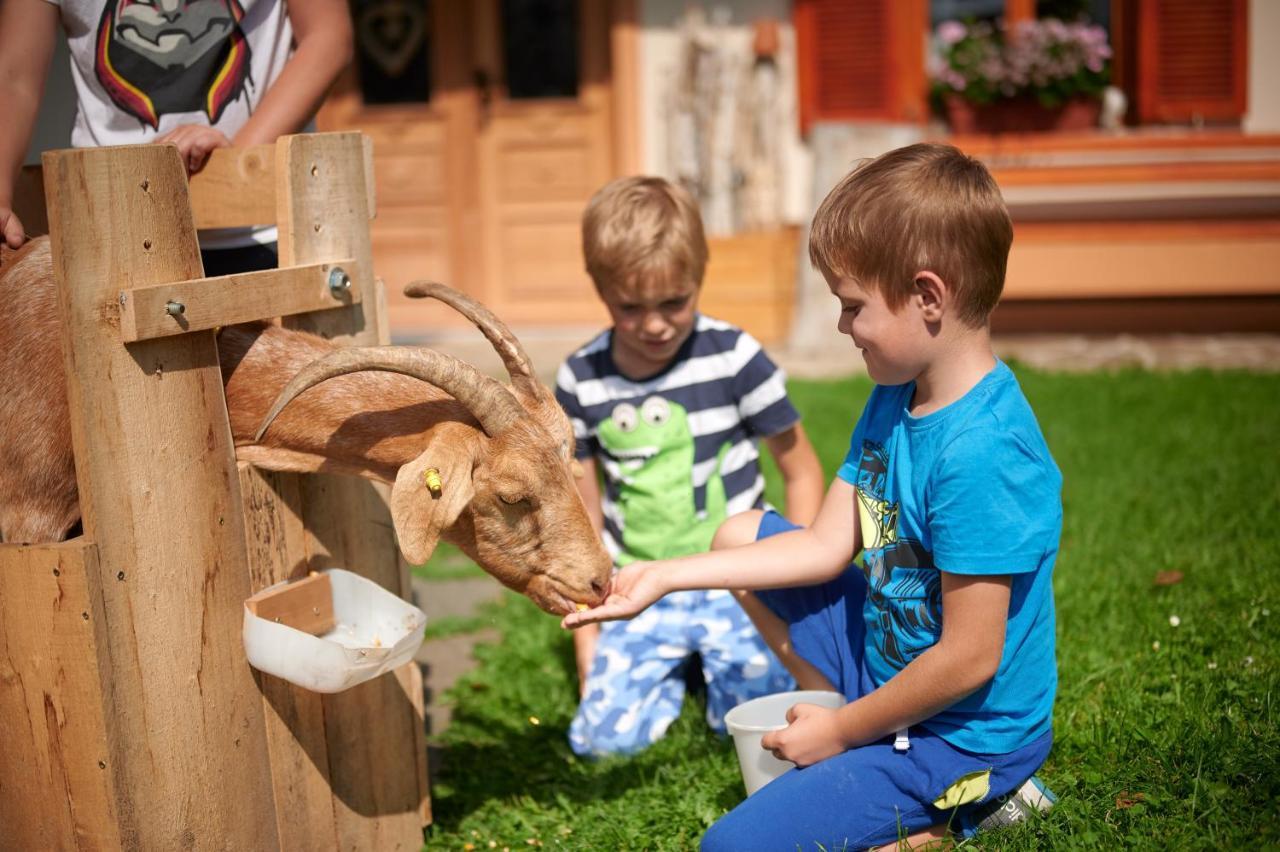 Farmstay&Glamping Visocnik Ljubno Luaran gambar